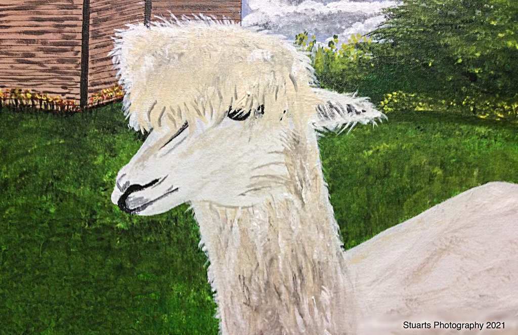 Alpaca (painting) by stuart46