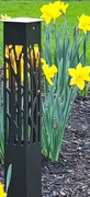 4th May 2021 - Daffodils and outdoor light