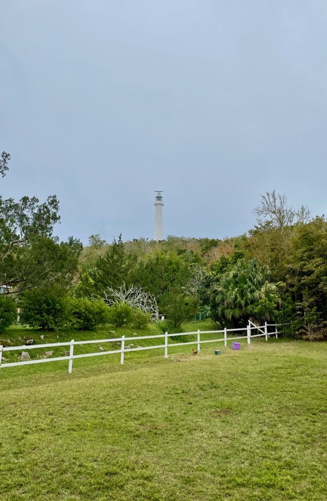 The Lighthouse from the railway trail. by lisasavill