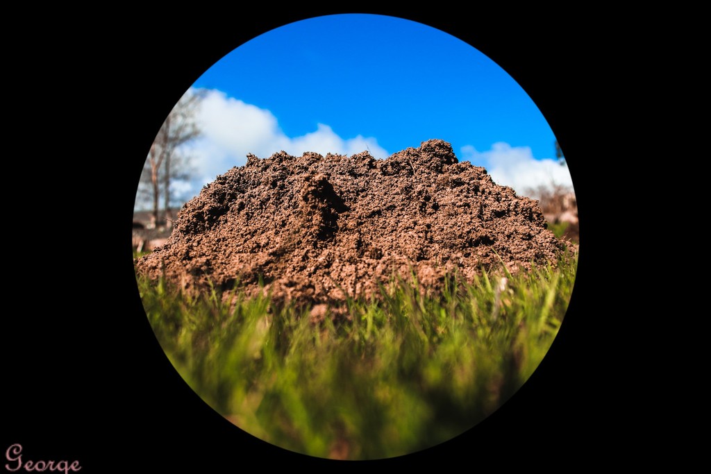 Making a Mountain out of a Molehill by nodrognai