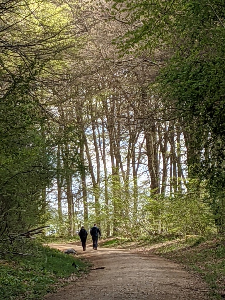 Out walking together by yorkshirelady
