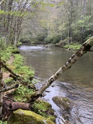 5th May 2021 - Hiking Along the Linville River
