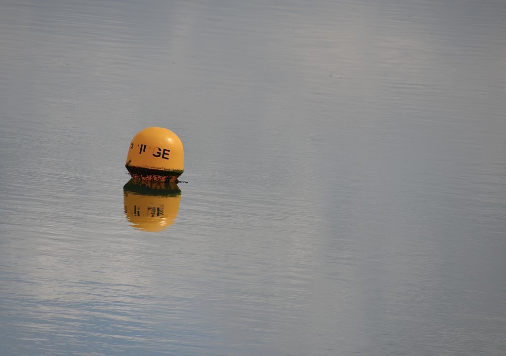 Packman in the sea by wakelys