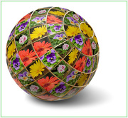 2nd Apr 2021 - Floral Globe