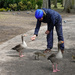 Feeding The Ducks (and Pigeon) by phil_howcroft