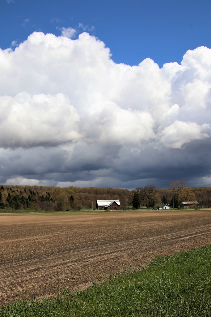 field, farm and clouds by edorreandresen