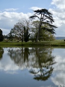 7th May 2021 - Reflections at Croome Court