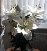 7th May 2021 - Lilies