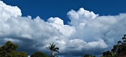 8th May 2021 -  A Beautiful Cloudscape ~    
