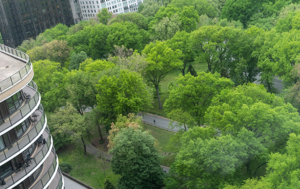 Central Park From Above by brotherone