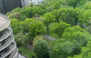 4th May 2021 - Central Park From Above