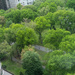 Central Park From Above by brotherone