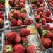 first strawberries at the farmer’s market by wiesnerbeth