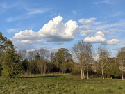 7th May 2021 - Flat Bottom Clouds...
