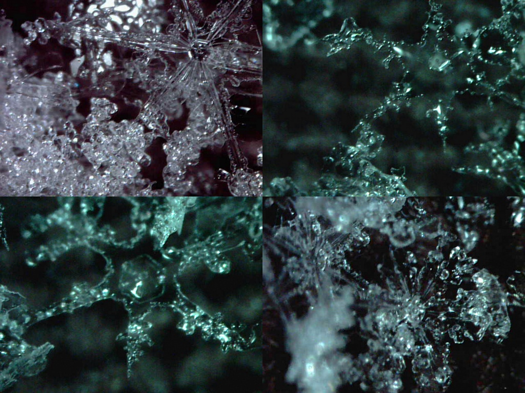 Snowflakes by dakotakid35