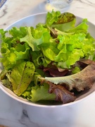 27th Apr 2021 - Nothing like fresh lettuce from your garden!