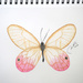glasswing butterfly by artsygang