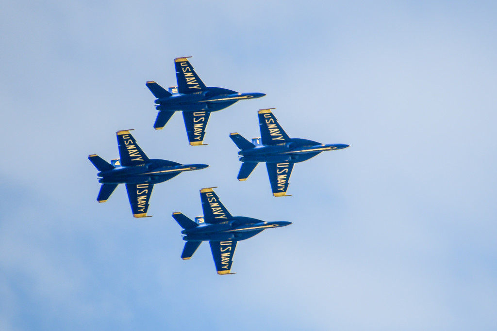 Blue Angels by danette