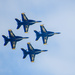 Blue Angels by danette