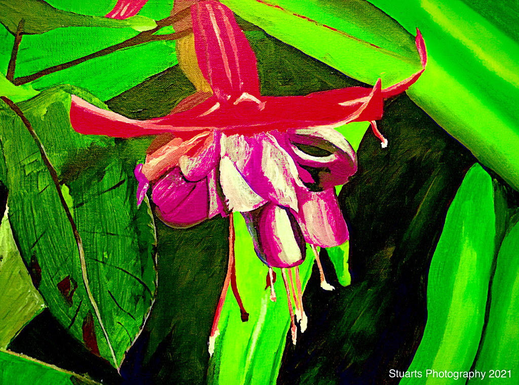 The fuchsia is bright (painting) by stuart46