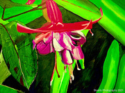 9th May 2021 - The fuchsia is bright (painting)