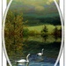 Swan Lake by olivetreeann