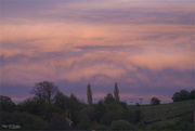 9th May 2021 - Evening Sky