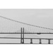 Two Severn Bridges by cam365pix