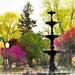 Fountain by lynnz