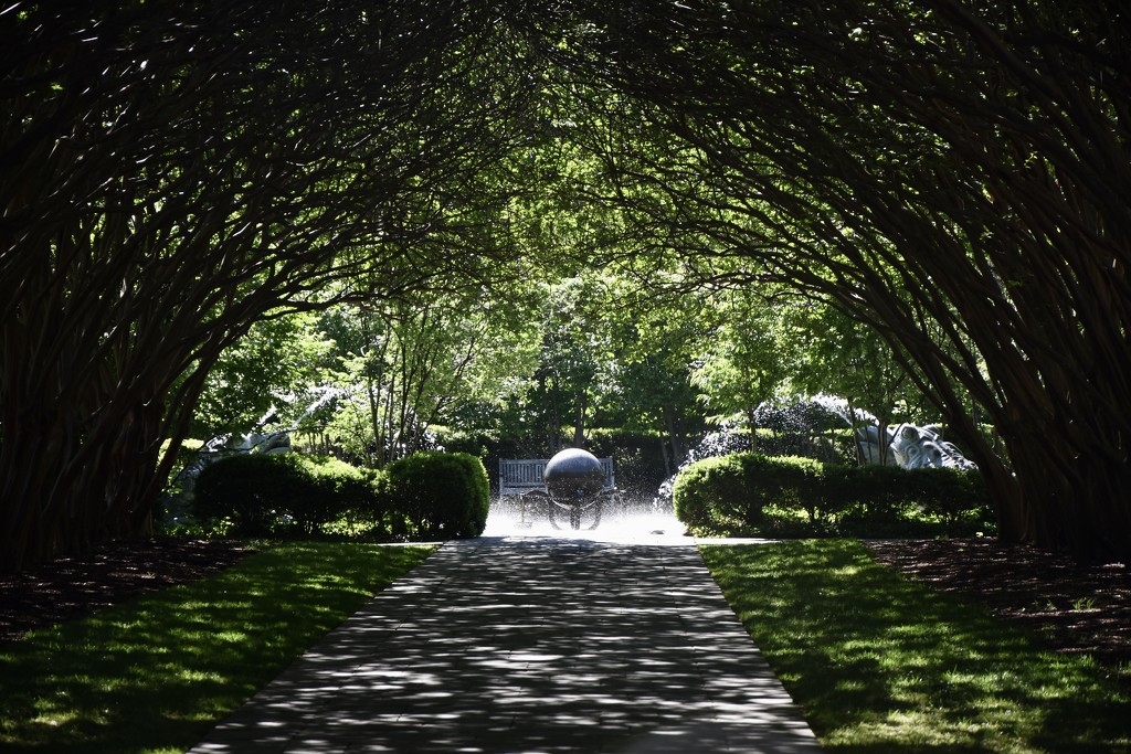 The Arboretum’s Crepe Myrtle Allee by louannwarren