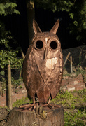4th Apr 2021 - A Bronzed Owl!