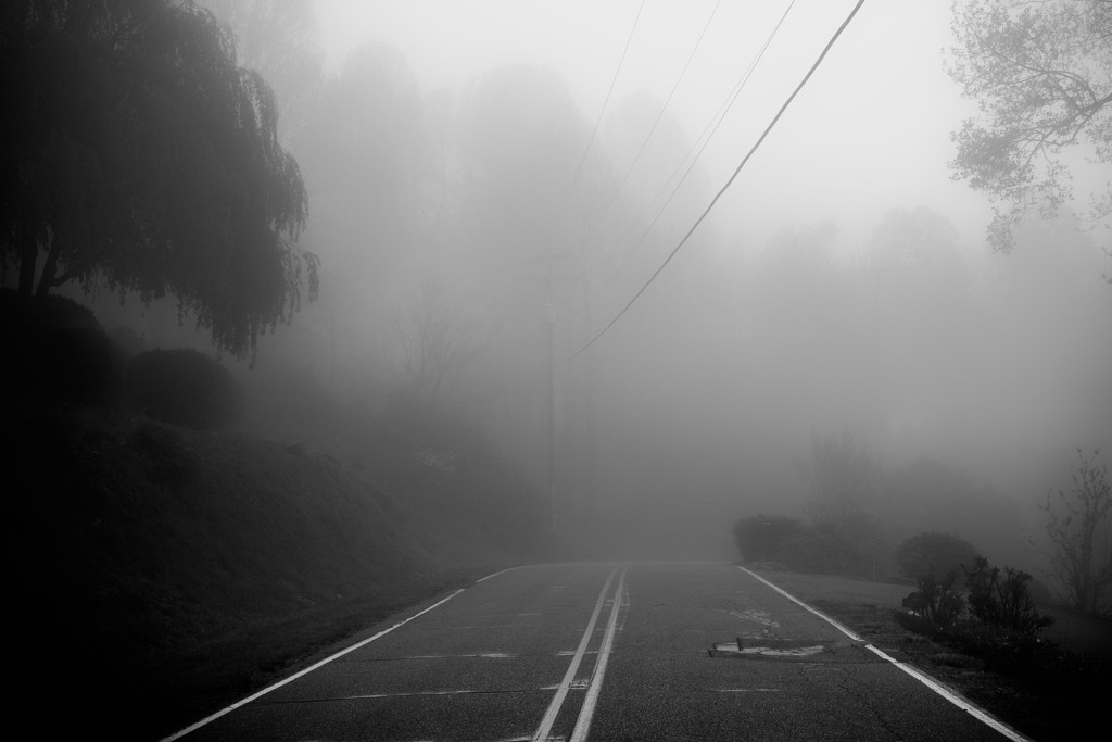 Driving in the Fog by darylo