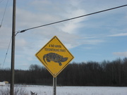 10th May 2021 - Signs #4: Turtle Crossing