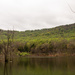Allegheny Reservoir by janetb