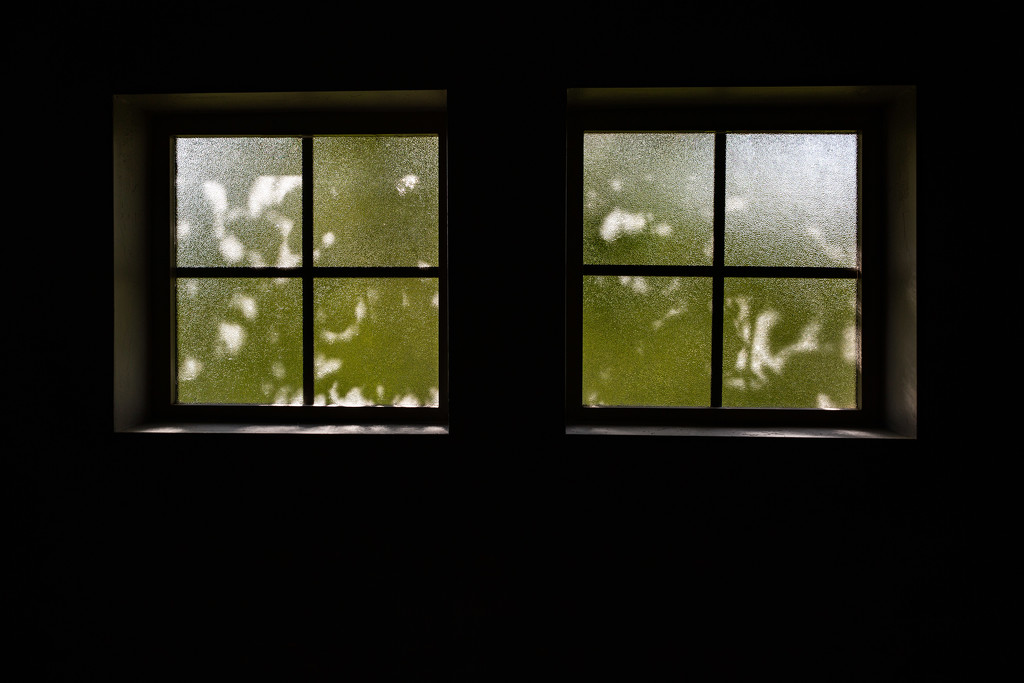 Through the Window by tina_mac
