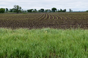 6th May 2021 - The Corn Is Planted
