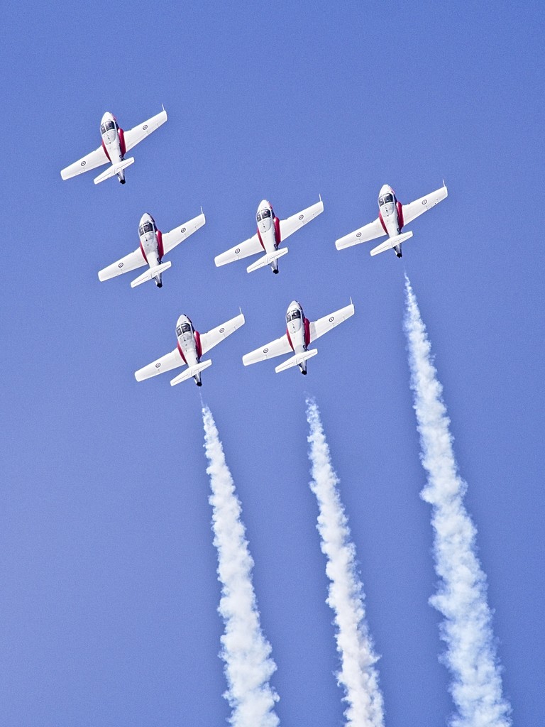 Canadian Forces Snowbirds by mitchell304