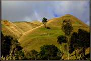 11th May 2021 - Waitomo hills