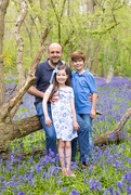 11th May 2021 - The Bluebell Family 