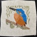 Kingfisher Cross Stitch by gillian1912