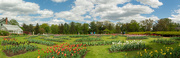 11th May 2021 - A panorama from the park.