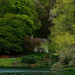 0511 - Cottage by the lake by bob65