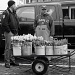 The First Tulips and Daffodils  Arrive At The Market by seattle