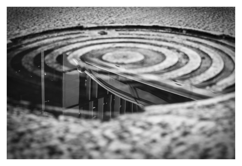 Reflections on a manhole by dkbarnett