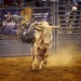 LHG-0962- bull wins by rontu