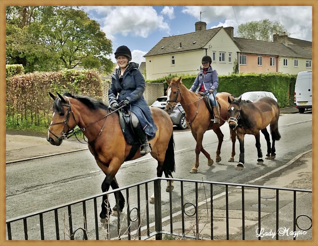 Village Traffic is Busy Today. by ladymagpie