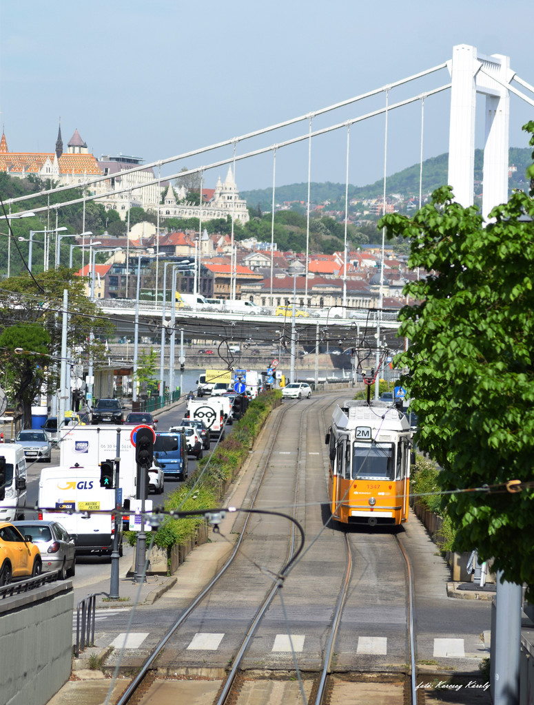 The 2M tram in Budapest by kork