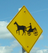 12th May 2021 - Signs #6: Horse and Buggy