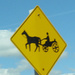 Signs #6: Horse and Buggy by spanishliz