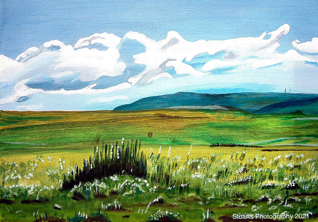 Open spaces (painting) by stuart46
